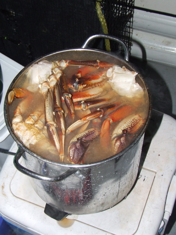 The final dungeness crab dinner